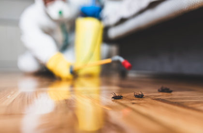 Exterminator in work wear spraying pesticide with sprayer.